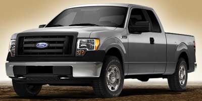 2010 Ford F-150 Style
